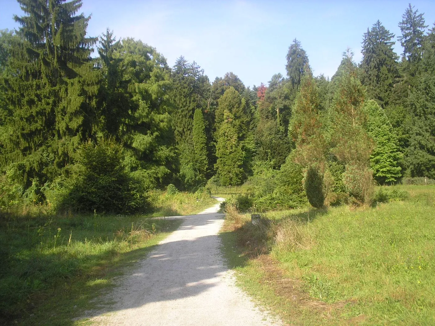 Arboretum Opeka