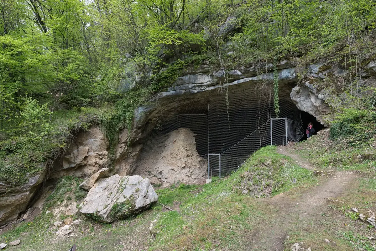Špilja Vindija